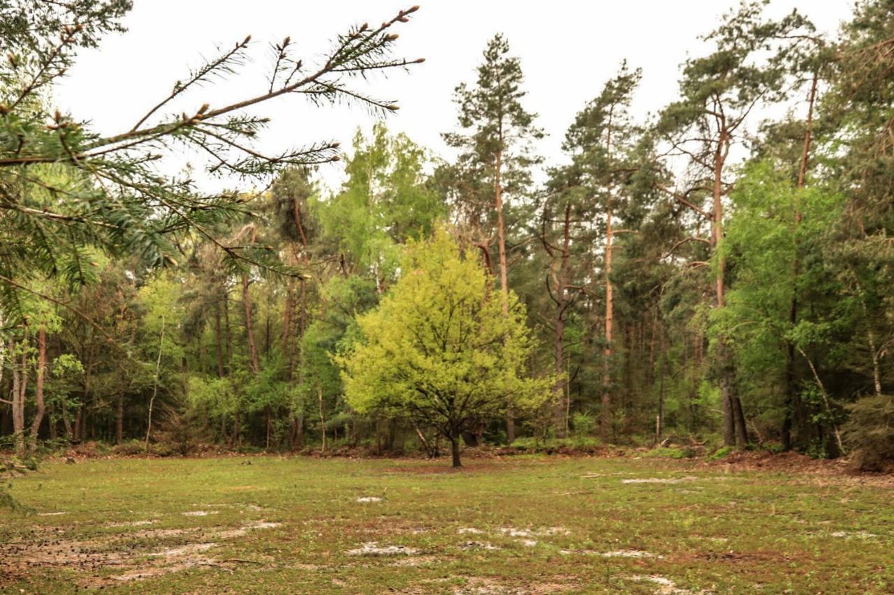 Vakantiehuis De Weeser Enk Epe Dış mekan fotoğraf
